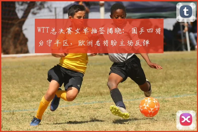 WTT总决赛女单抽签揭晓：国乒四将分守半区，欧洲名将盼主场反弹